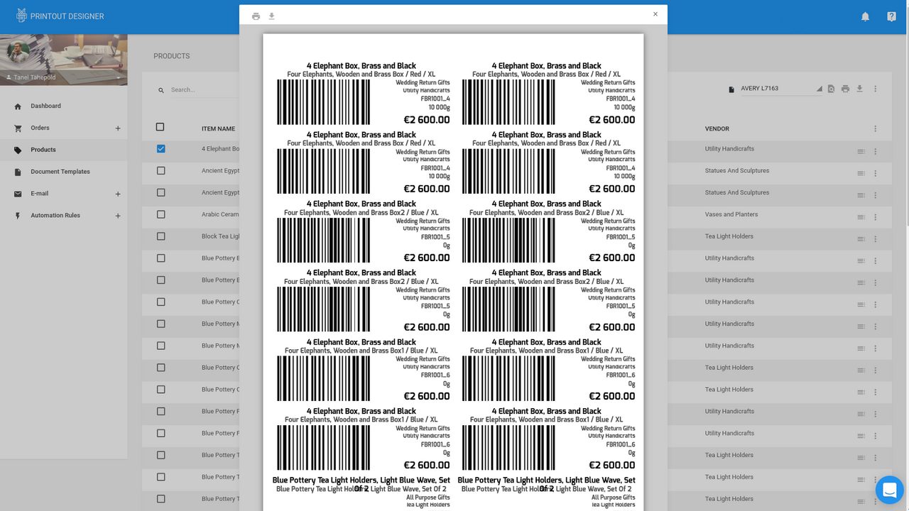 Printout Designer's document editor showing label creation in a custom size and format